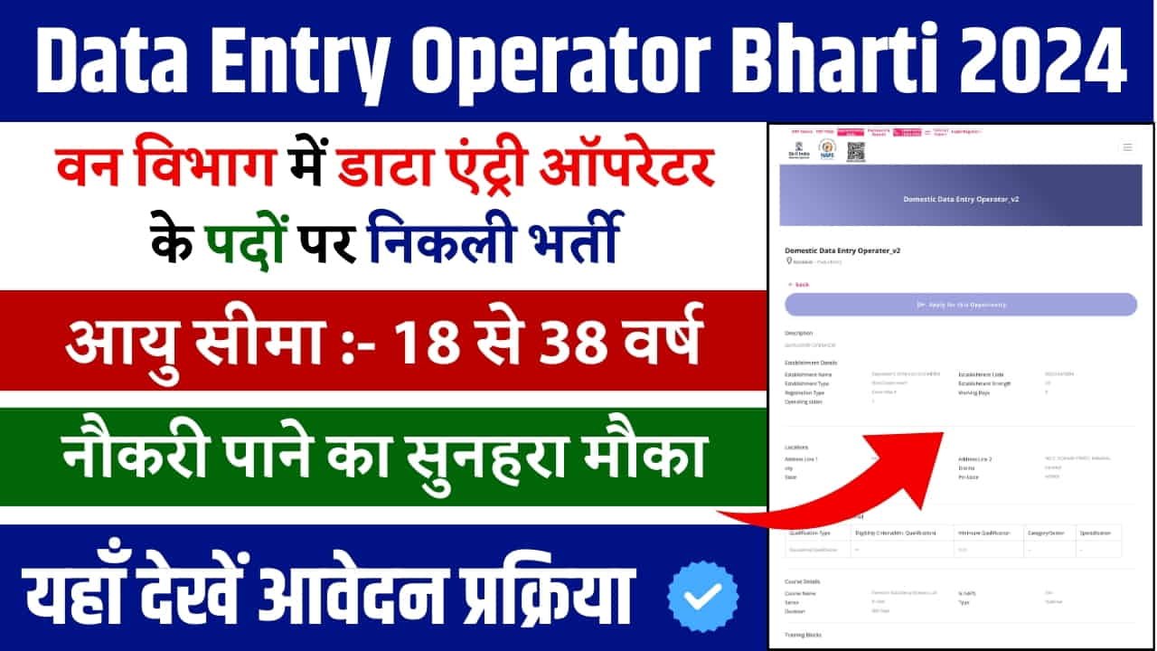 Data Entry Operator Bharti 2024